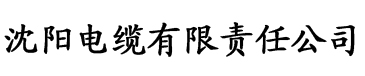 孙倩詹特姆斯隔离同居记免费电缆厂logo